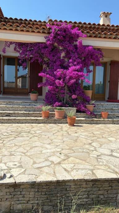 Villa Avec Jardin Au Calme A 7 Min De Cassis Roquefort-la-Bédoule Extérieur photo